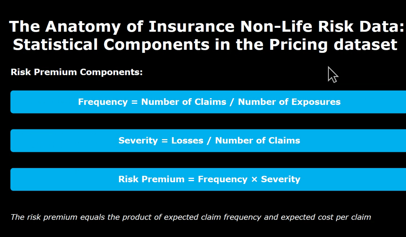Anatomy of Insurence Non-Life Risk Data