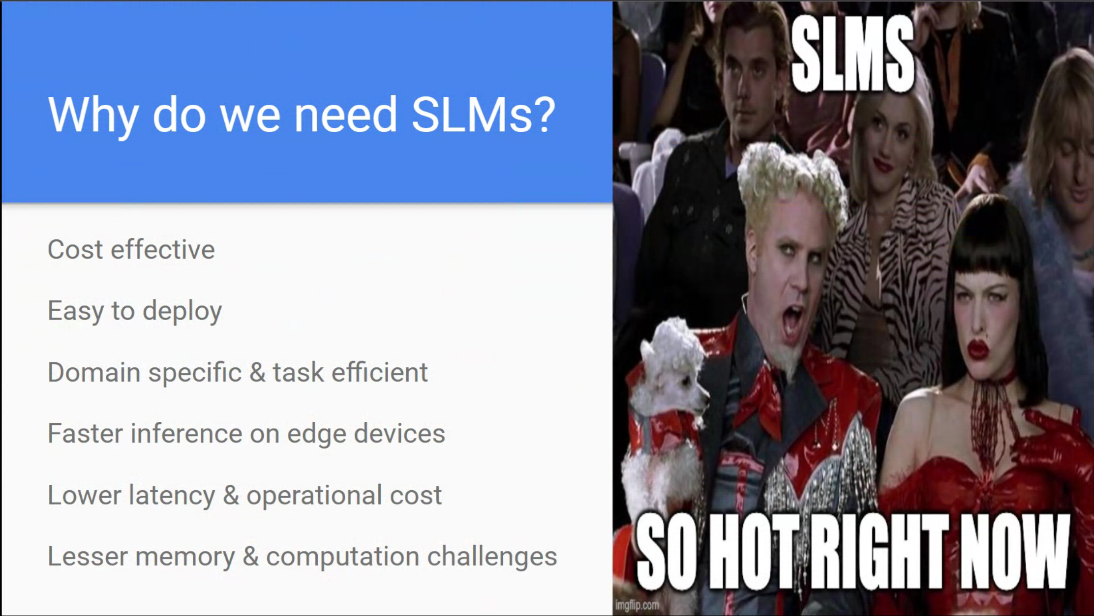 Why do we need SLMs?